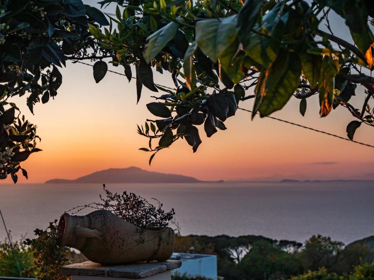 Casa Astra Bed and Breakfast Anacapri  Buitenkant foto
