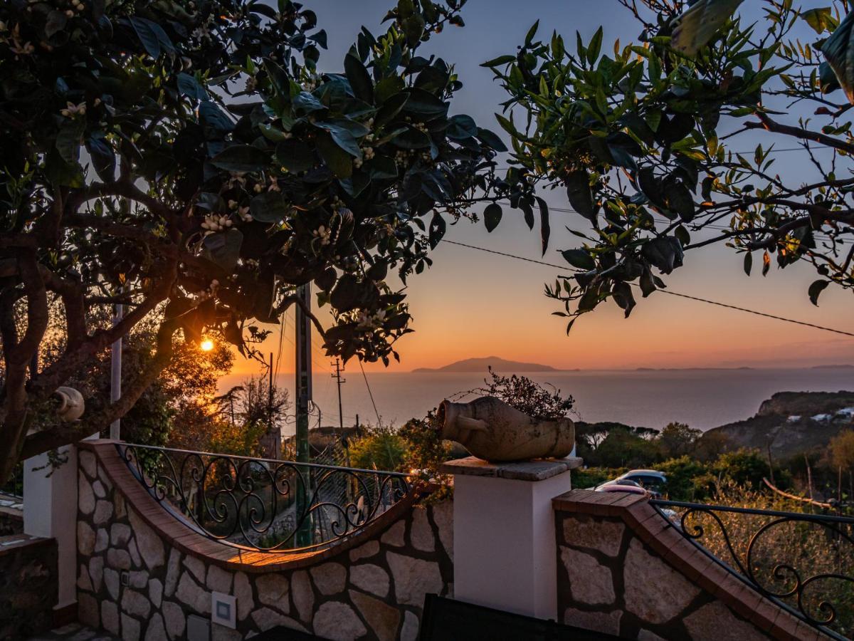 Casa Astra Bed and Breakfast Anacapri  Buitenkant foto